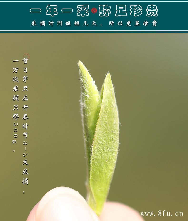 
白毫银针茶对人体的好处很多，平时经常喝白毫银针茶能够提高人体的脂酶活性，可以促进脂肪代谢，可以控制人体胰岛素分泌量，可以促进血糖平衡。白毫银针茶对眼睛起到保护的作用，平时用眼过度的朋友可以经常喝点白毫银针茶来改善。下面我们来看看白毫银针能长期喝吗？