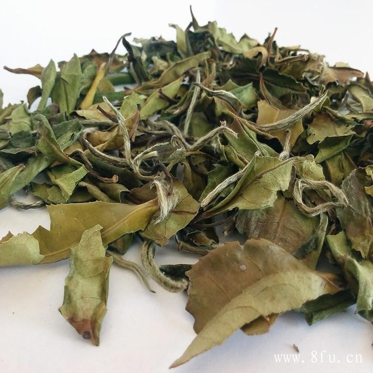 白茶的树种种类