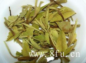 福鼎白茶泡几次最好？