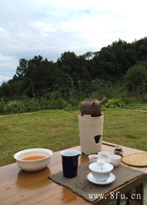 白牡丹茶饮用禁忌