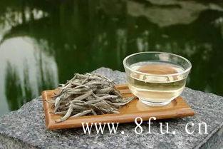 高海拔古茶园 茶叶品质优异