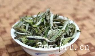 福鼎白茶紫砂壶煮法