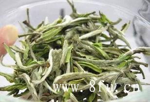 白牡丹茶的冲泡方法