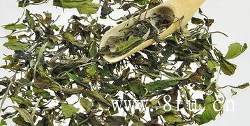 白牡丹茶饮用禁忌