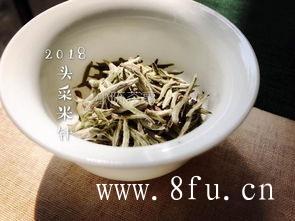 福鼎老白茶与新白茶的区别