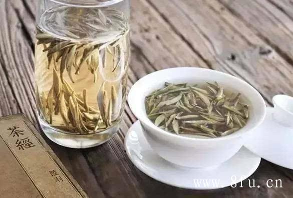 白牡丹茶价格多少