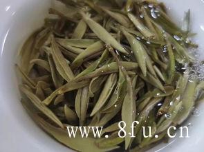 白茶的泡法