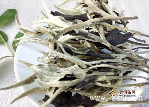 煮白茶用什么壶好？