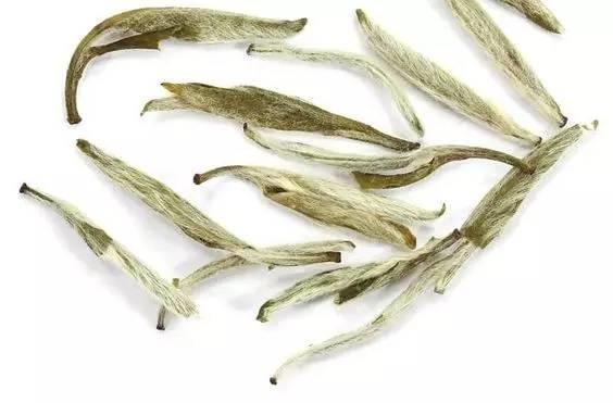 白茶的泡法