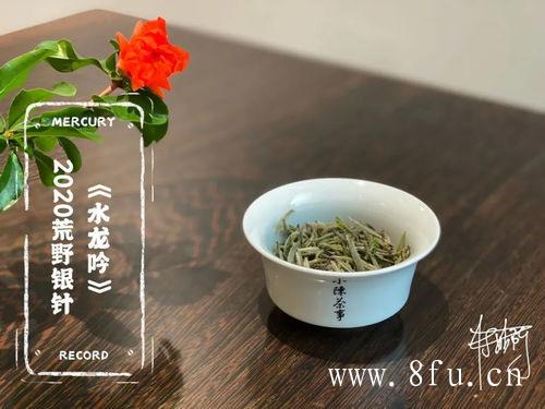 喝白茶的功效