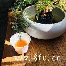 月光银针还是一款没有任何架子的茶。