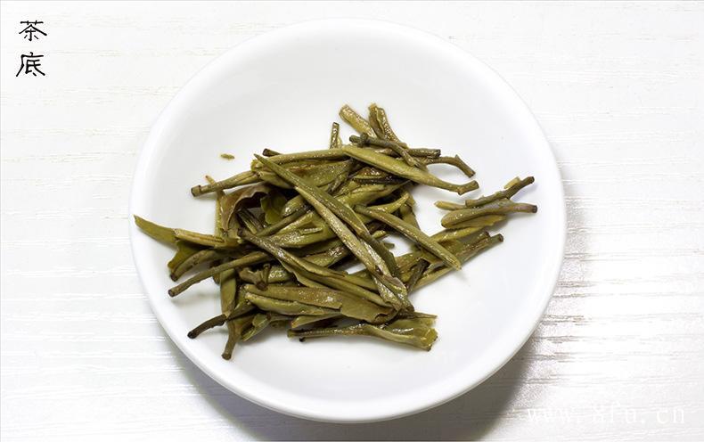 白茶的禁忌人群