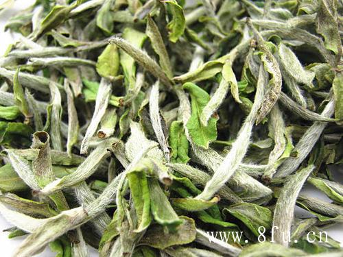 福鼎白茶饼如何冲泡？