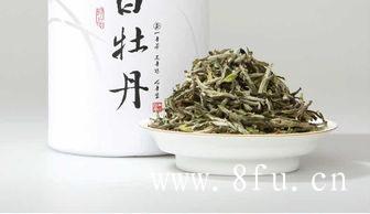 贡眉白茶的历史发展