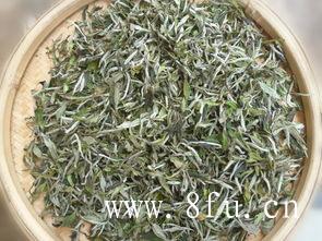 福鼎白茶的冲泡五式