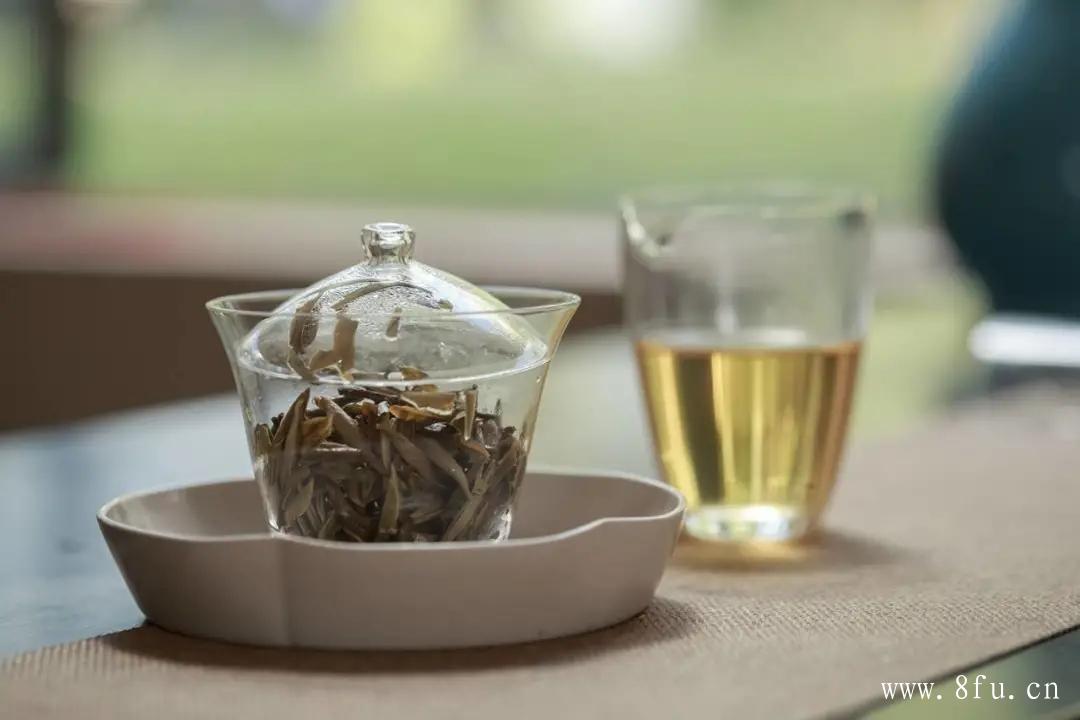  白茶一般一斤多少钱