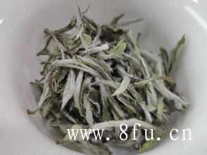 冲泡白茶茶饼可使用较高的温度