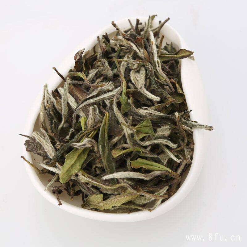 福鼎白茶散茶和茶饼的区别