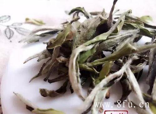 白毫银针的大功效,白牡丹茶等级特征