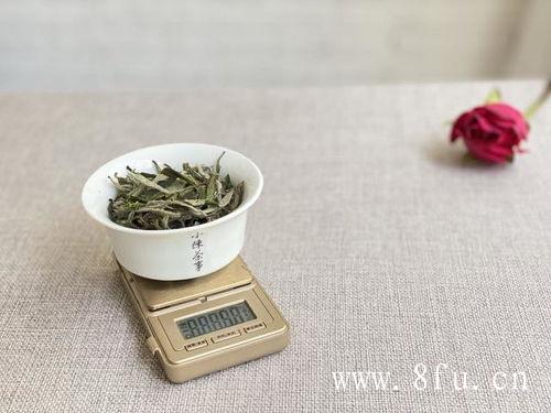 白牡丹茶的品牌