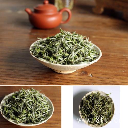 影响白茶储存的因素