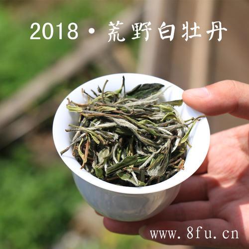 福鼎白茶是陈茶收藏者的新宠