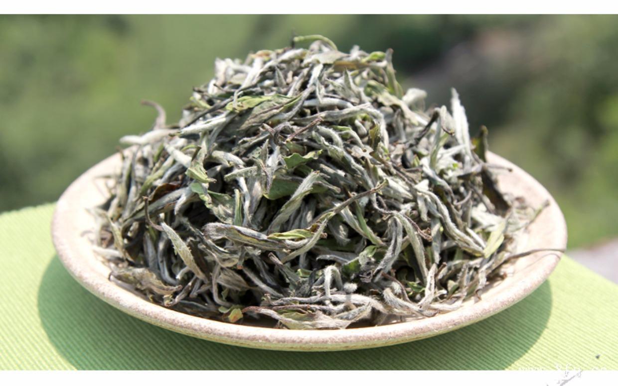 白茶的功效与作用