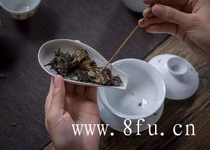 福鼎白茶的营养价值,白牡丹茶的特征