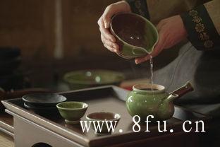 茶博会上的小青柑白茶,白茶的品质特征