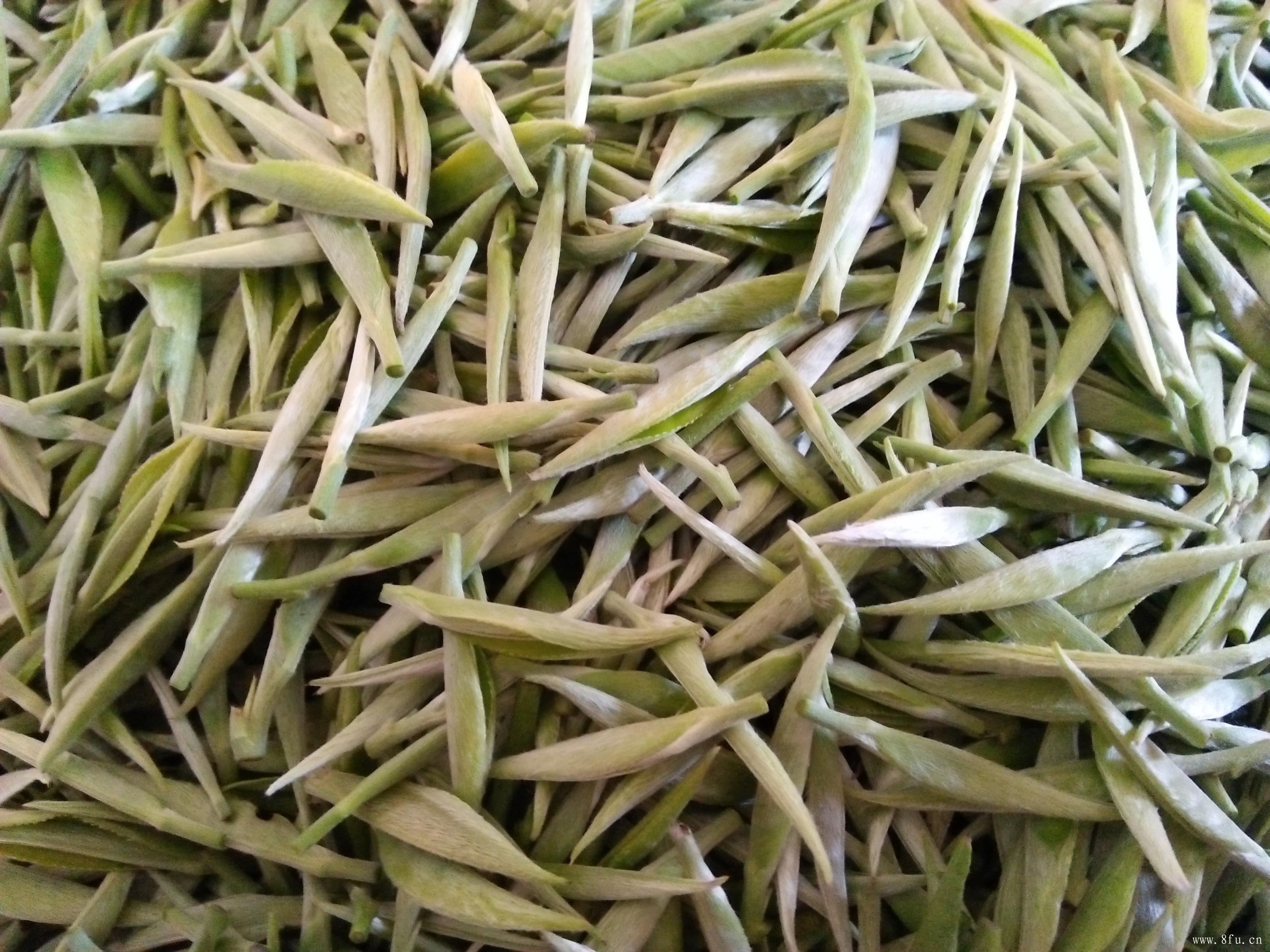 茶叶的耐泡性受很多因素的影响