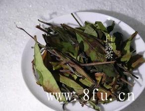 福鼎白茶的冲泡方法,白牡丹茶品质特征