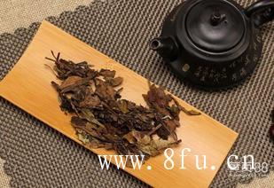 白茶可以天天喝