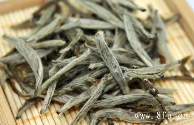 用凉水煮白茶还是沸水煮白茶？,白毫银针属于白茶，与毛尖茶是有着典型差异的！