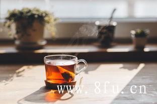 喝白茶帮助减肥,聚白堂老寿眉白茶饼