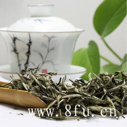 泡福鼎白茶时需要放多少茶叶