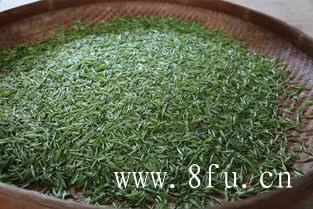 四种白茶的正确泡法