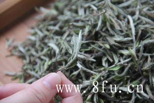 白牡丹茶制作原料,紫砂壶泡老白茶的方法,白牡丹茶制作原料