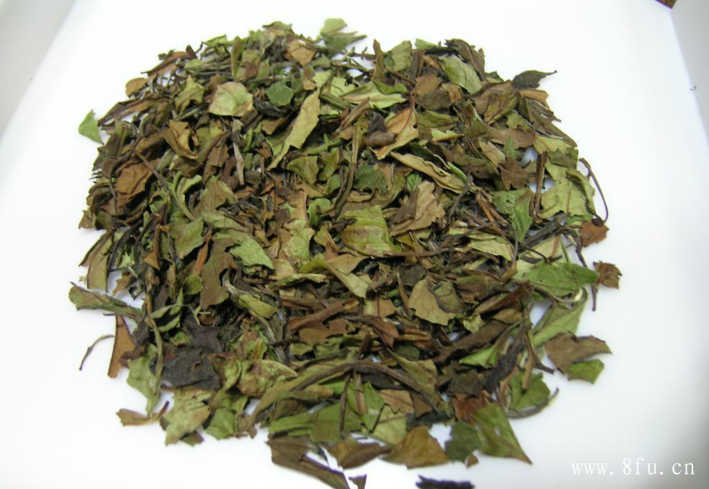 福鼎白茶冲泡方法