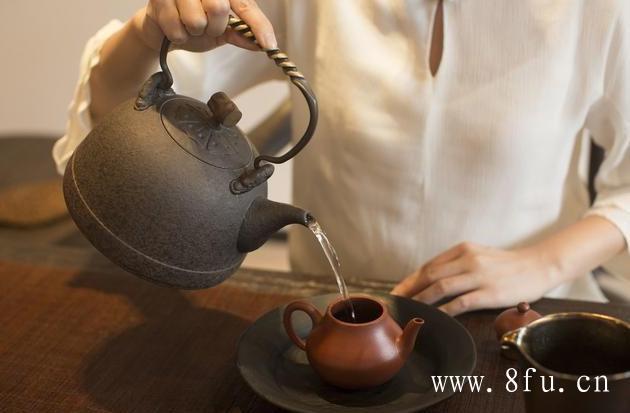 福鼎白茶营养成分
