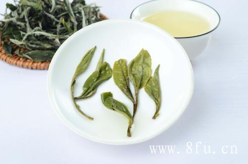 白牡丹茶怎么泡,白毫银针因地方出产分为福鼎大白茶和政和大白茶