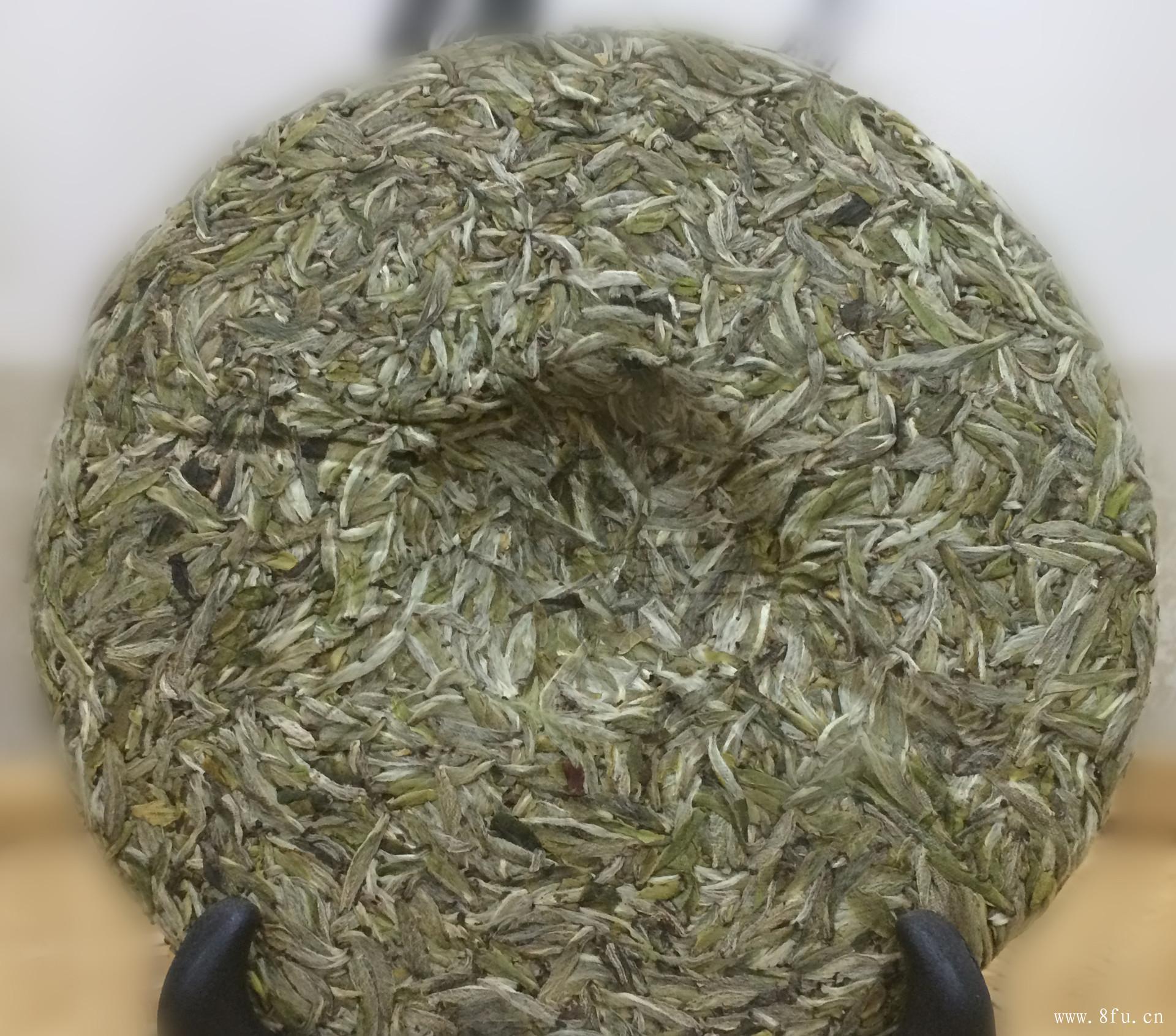 福鼎白茶的发酵程度