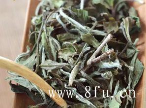 老白茶怎么煮？