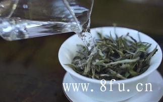 喝白牡丹茶的禁忌,什么牌子的福鼎白茶好