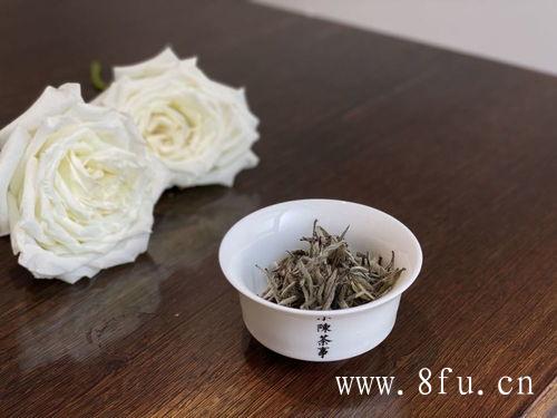 新白茶不建议煮