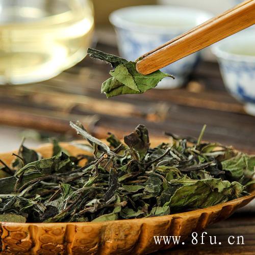 白牡丹属于发酵茶,消炎杀菌，白茶强过绿茶。,白牡丹属于发酵茶