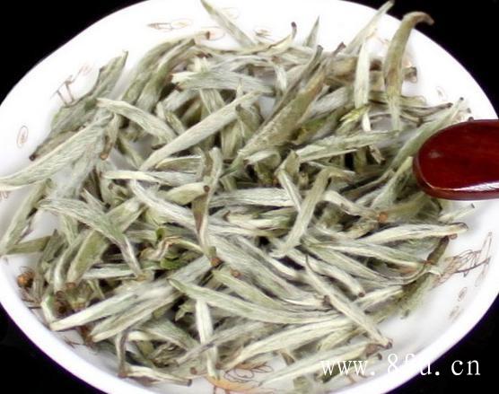 煮老白茶需要洗茶吗？,白牡丹茶，属于白茶类，为中国福建历史名茶