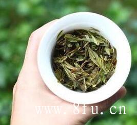 白牡丹茶怎样选购,白茶的冲泡技巧杯泡法,白牡丹茶怎样选购