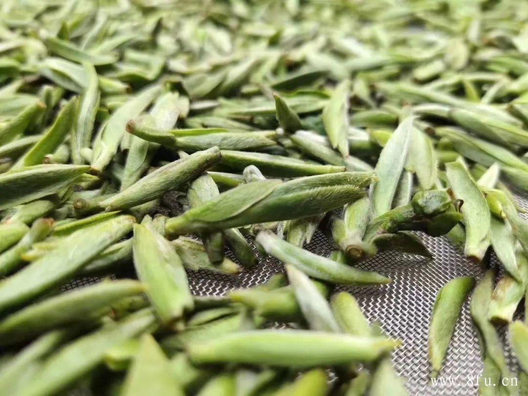 白毫银针茶价格决定因素