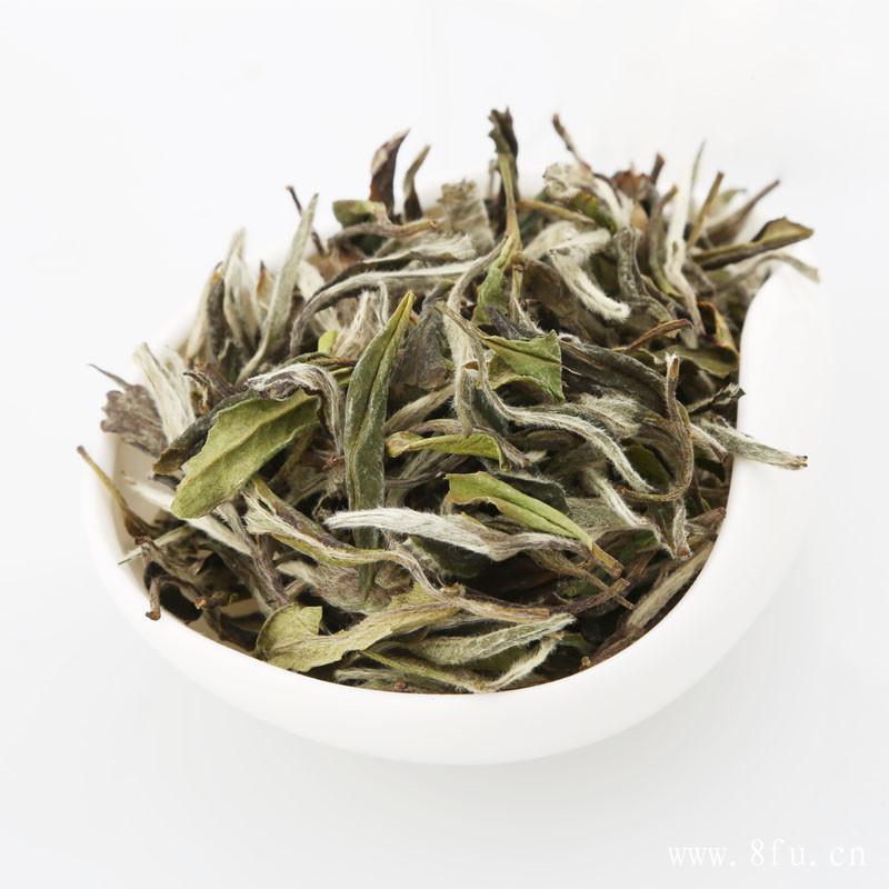 福鼎白茶属于发酵茶