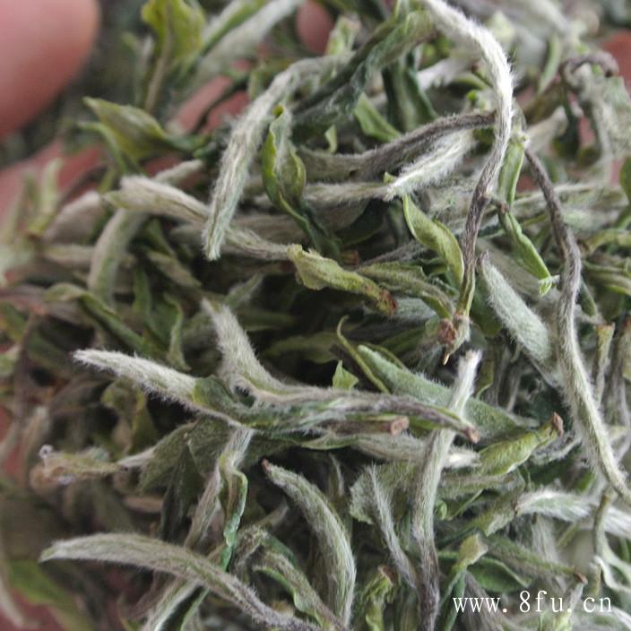 寿眉茶的一种名茶，属于白茶类